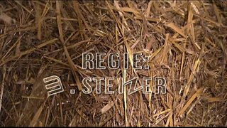 ���ந்த Senne Lutschi