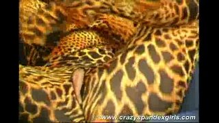 Fou spandex fille taquineries sexe