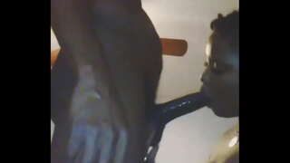 کچھ بھی نہیں ایک کتیا کی طرح جو محبت ڈک چوستے کرنے کے لئے